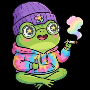 May include: A cartoon frog wearing a purple beanie, glasses with star-shaped lenses, and a tie-dye hoodie. The frog is holding a lighter and a lit cigarette, with rainbow-colored smoke. Text at the top reads "PNG FILE | DIGITAL DOWNLOAD" and at the bottom "COMMERCIAL USE".