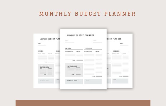 Aesthetic Monthly Budget Planner, Stylish Financial Organizer, Perfect Personal Finance Tool, Gift for Planners