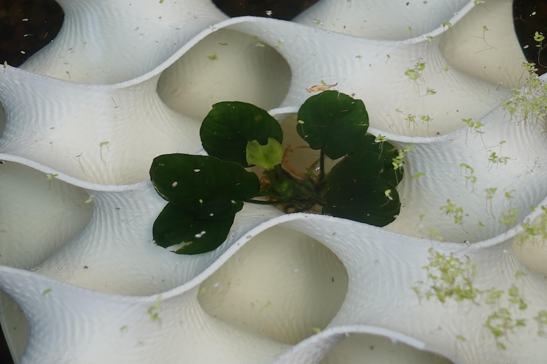 Close-up of the 8x8 gyroid aquarium cave showcasing a planted aquatic centerpiece. The flowing design provides hiding spaces for shrimp and fish while supporting plant growth, enhancing both functionality and natural aesthetics in your aquarium.
