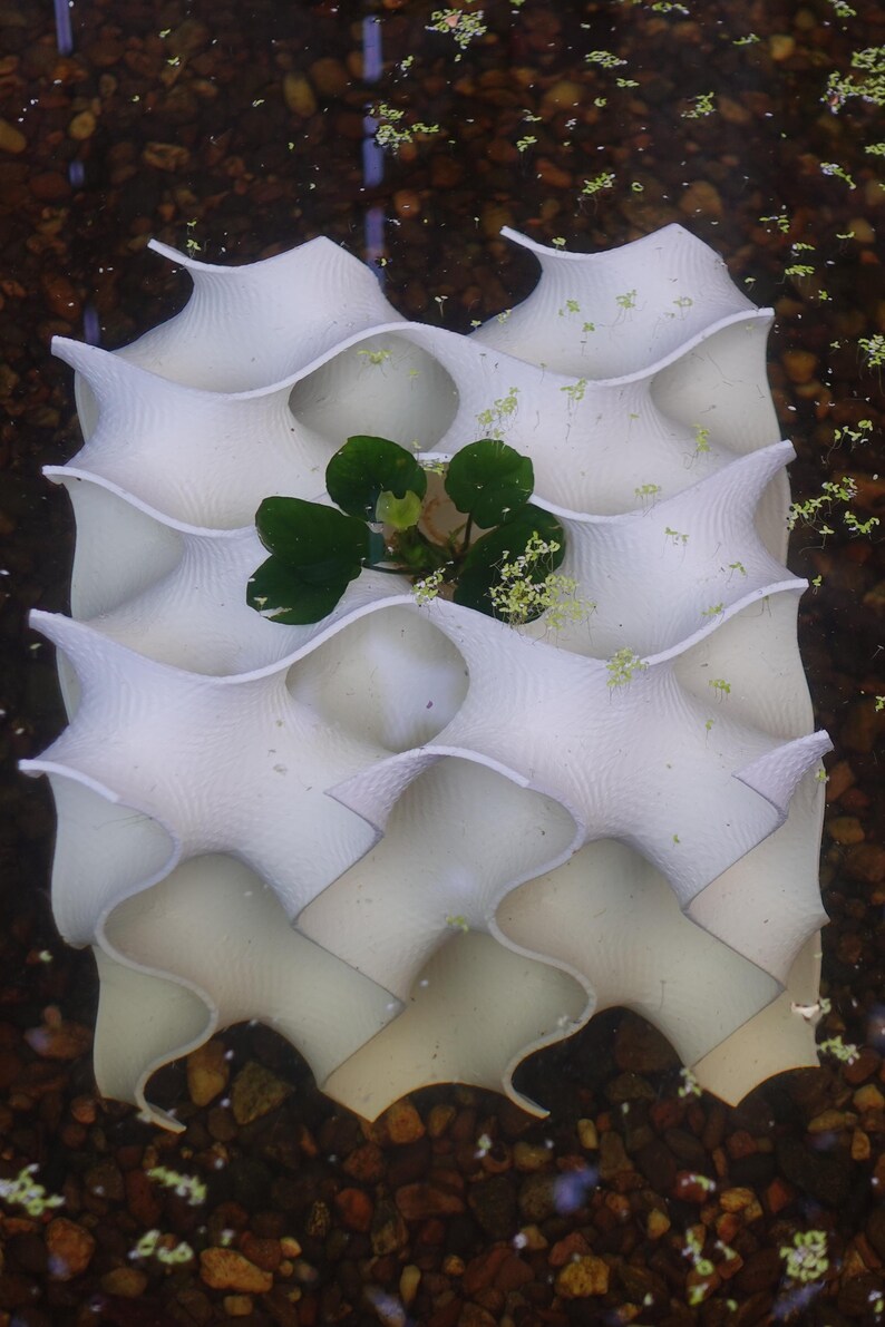 Top-down view of a 8x8 white gyroid aquarium cave submerged in water, surrounded by gravel and aquatic plants. The open, wavy design provides natural hiding spots for fish and shrimp while enhancing tank aesthetics with a modern, coral-inspired look.