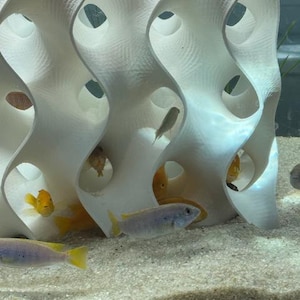 8x8 White gyroid aquarium cave in use, with fish swimming and hiding inside. The reef-safe design mimics natural coral structures, providing shelter and breeding spaces for cichlids, shrimp, and other aquatic pets. Enhances tank aesthetics & habitat