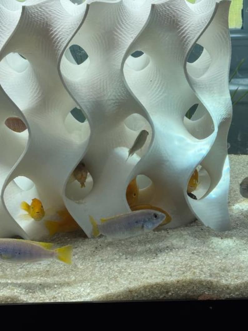 8x8 White gyroid aquarium cave in use, with fish swimming and hiding inside. The reef-safe design mimics natural coral structures, providing shelter and breeding spaces for cichlids, shrimp, and other aquatic pets. Enhances tank aesthetics & habitat