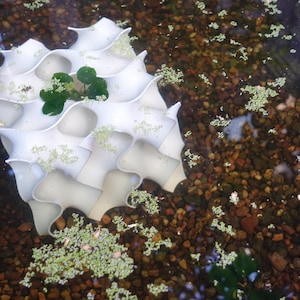 Submerged 8x8 gyroid aquarium cave surrounded by gravel and floating aquatic plants. The flowing design provides shelter for fish and shrimp while adding a natural, decorative touch to aquariums. central plant enhances the habitat’s aesthetic appeal