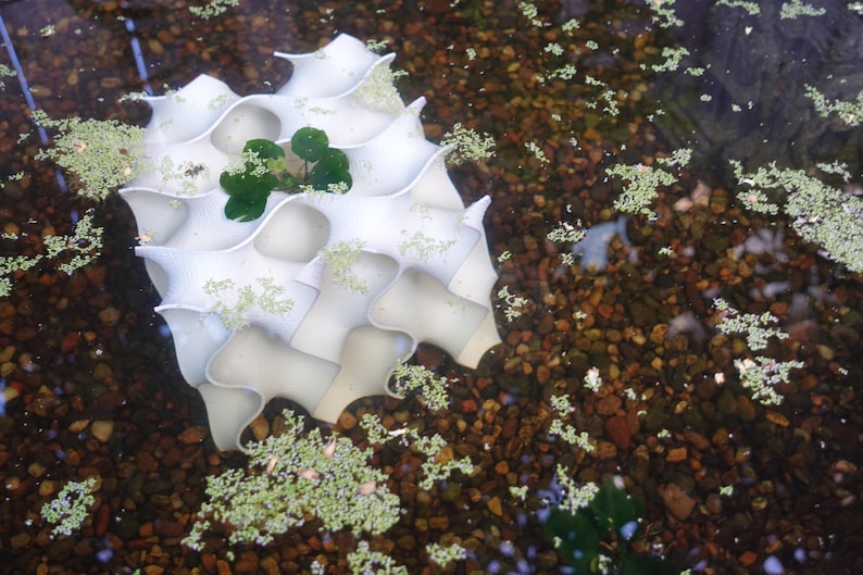 Submerged 8x8 gyroid aquarium cave surrounded by gravel and floating aquatic plants. The flowing design provides shelter for fish and shrimp while adding a natural, decorative touch to aquariums. central plant enhances the habitat’s aesthetic appeal