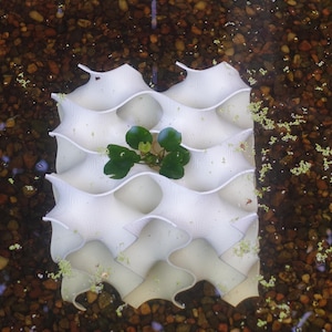 Overhead view of a white 8x8 gyroid aquarium cave surrounded by gravel, featuring a central aquatic plant. The modern, flowing design creates hiding spaces for fish and shrimp while enhancing the tank’s natural and decorative appeal.