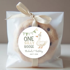 May include: A clear cellophane bag tied with a beige ribbon, containing a chocolate chip cookie. A round sticker on the cookie reads "ONE SILLY GOOSE" with a cartoon goose wearing a party hat. The sticker also includes the text "Michael's 1st Birthday" and the date.