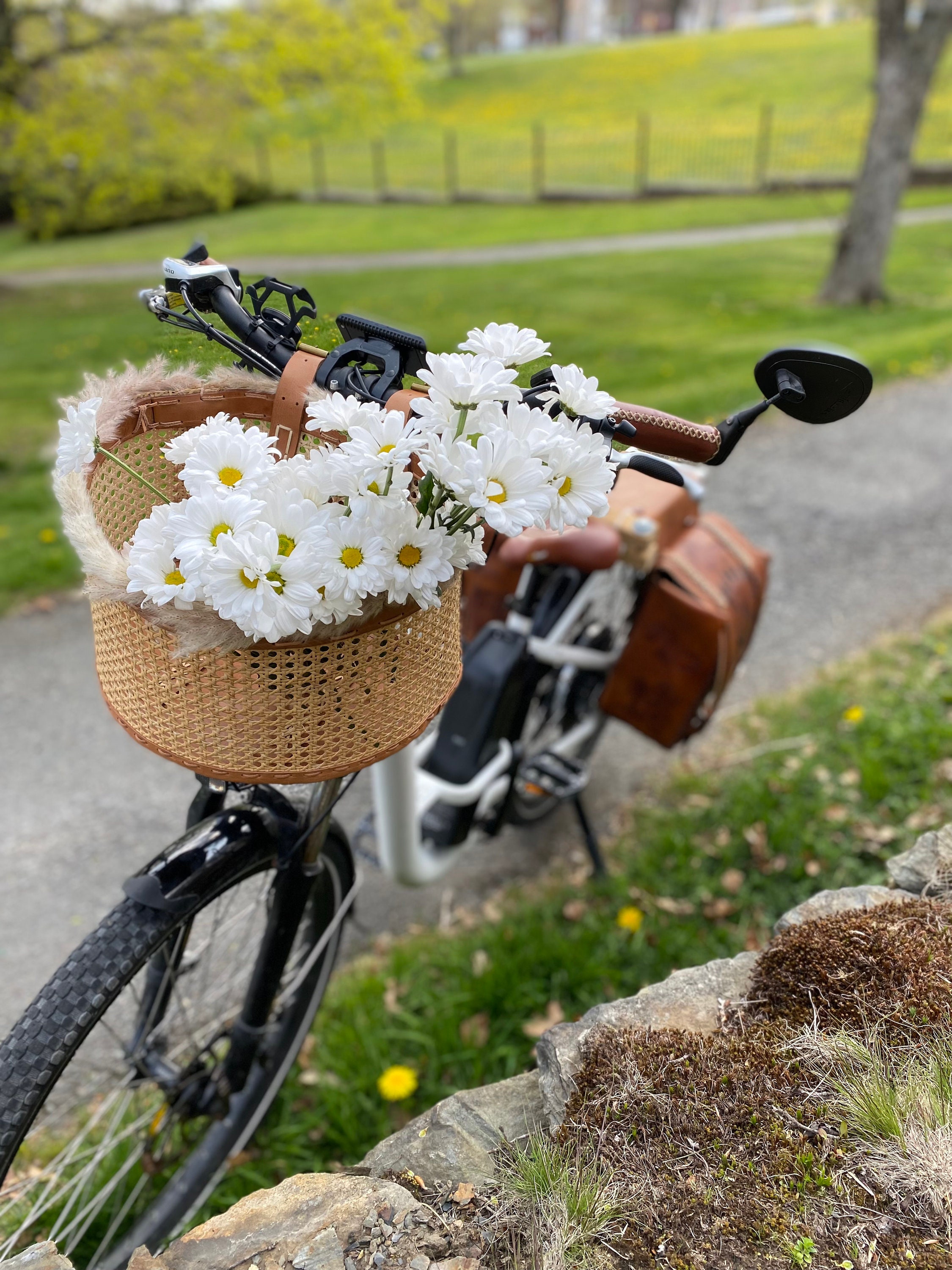 Wicker Bike Basket for Kids and Adults, Front Bike Basket, Wicker Bicycle  Basket, Kids Bike Basket, Womens Bike Basket, Rattan Bike Basket 