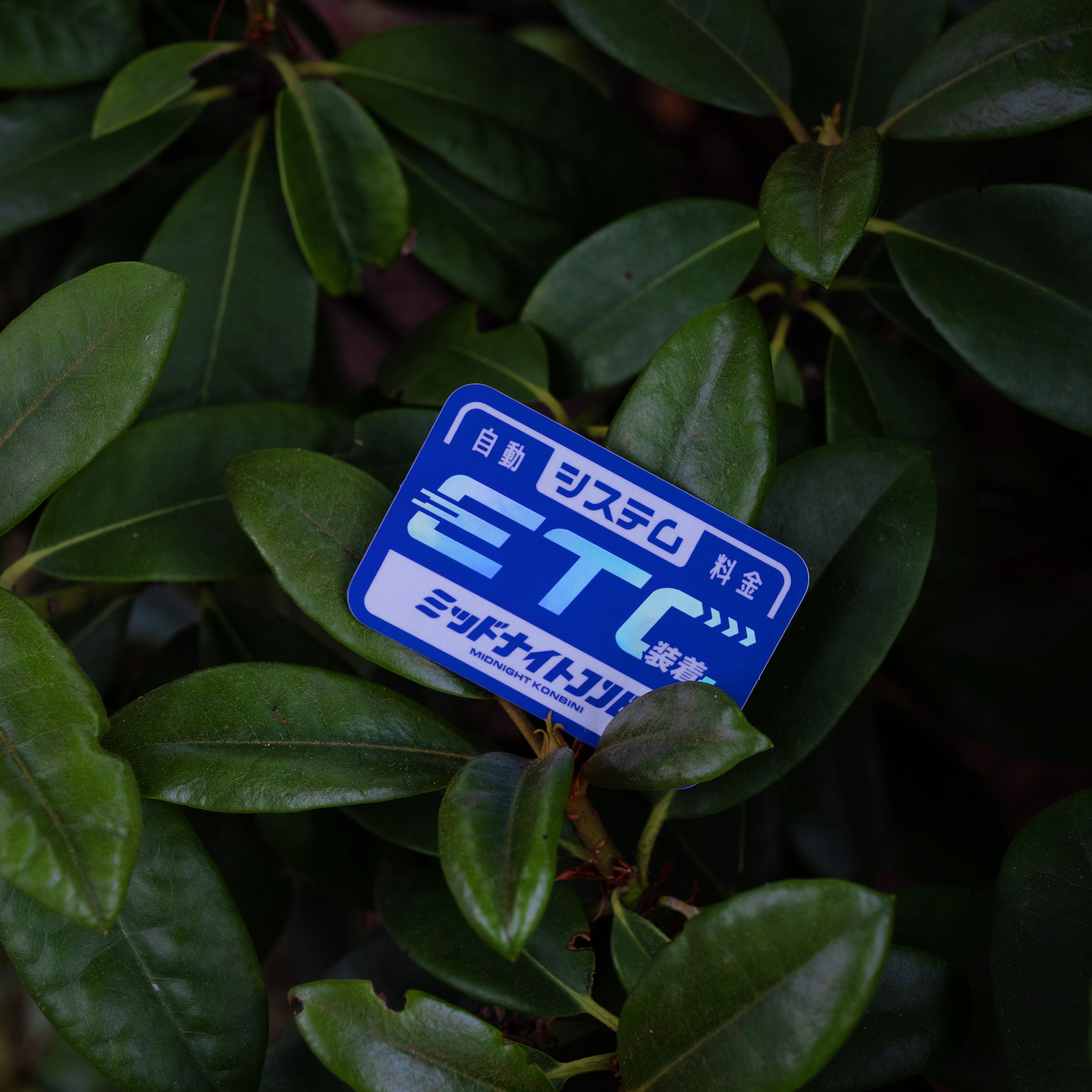 ETC Sticker JDM Car Sticker Vinyl Decal Etsy UK