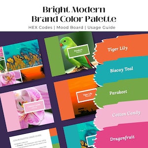 Könnte beinhalten: Ein moderner Markenfarbpaletten-Leitfaden mit dem Titel "Bright Modern Brand Color Palette". Der Leitfaden enthält Farbfelder mit Namen wie "Tiger Lily", "Biscay Teal" und "Cotton Candy". Es gibt auch ein Foto eines grünen Sittichs.