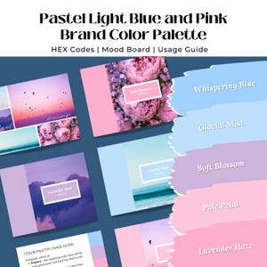 Brand Color Palette with Hex Codes, Small Business Branding Kit, Light Blue and Pink Design Color Scheme, Editable Canva Template & PDF