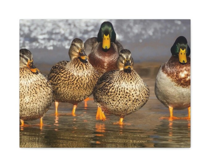 Ducks Matte Canvas | Stretched | 1.25" | Wall Art | Home Décor | Print | Abstract Art | Living Room | Wall Hanging