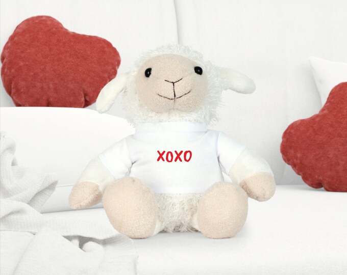 Plush Toy with T-Shirt
