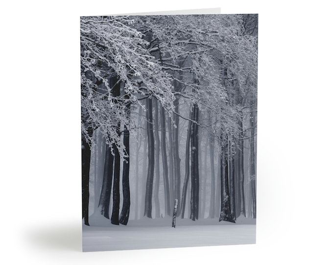 Greeting cards (8, 16, and 24 pcs) | Christmas Cards | Card Set | Holiday Cards | Winter | Landscape