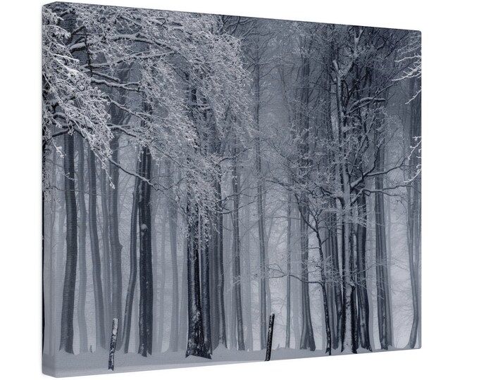 Landscape Matte Canvas | Stretched | 1.25" | Wall Art | Home Décor | Print | Abstract Art | Living Room | Wall Hanging