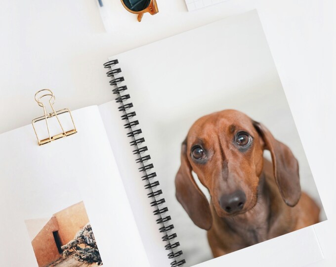 Colorful Puppy Spiral Ruled Line Notebook | Spiral Notebooks | Journal | Growth | Self-Care Diary | Spiral Journal | Kids Notebook