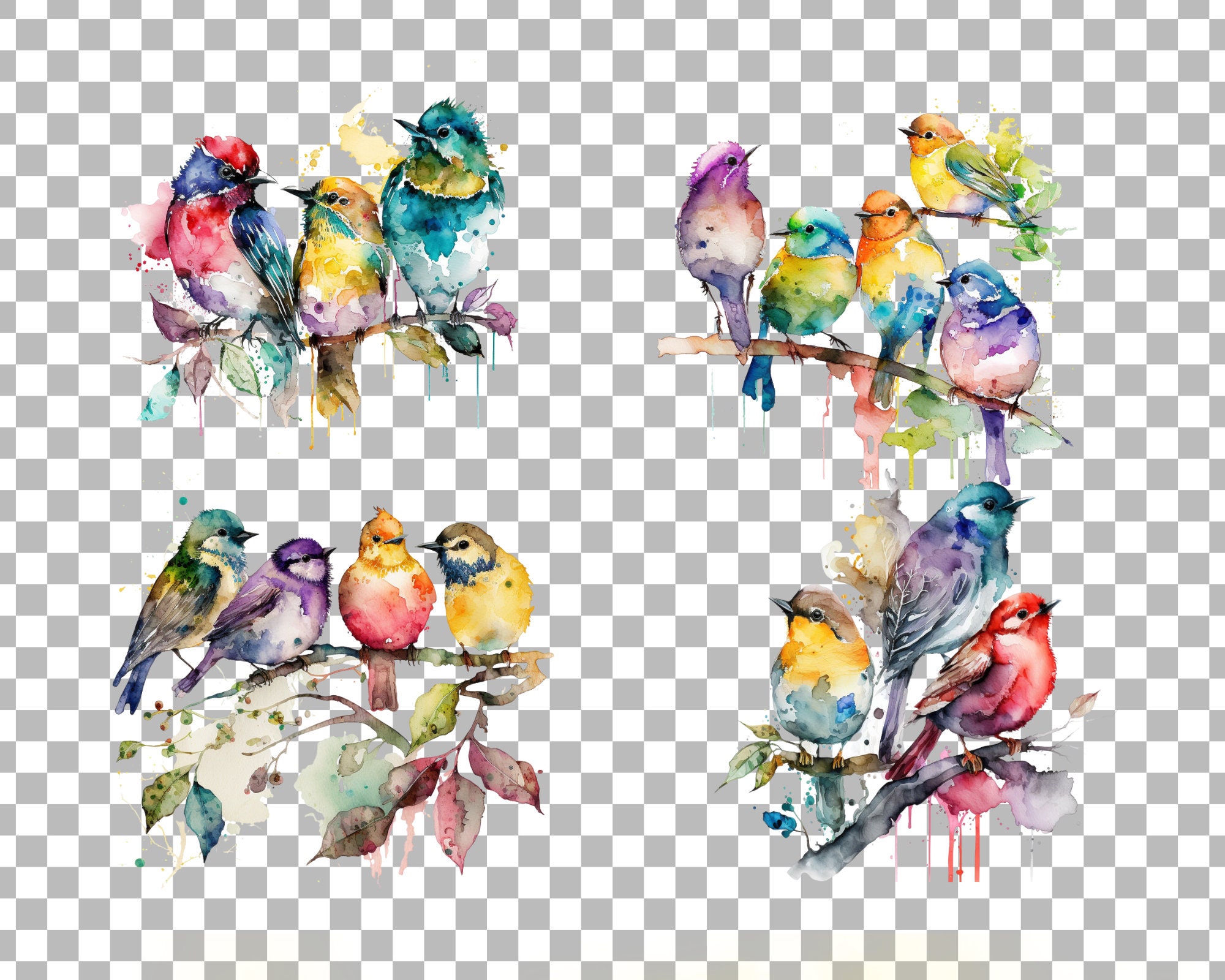Cute Birds Watercolor SET PNG Clipart , Printable, Cute Design, Digital ...