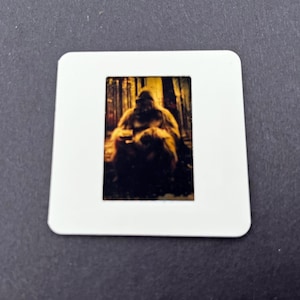 Mini stampe di diapositive del mostro criptico Bigfoot Sasquatch / Kraken Hodag o Frogman, opere d'arte da collezione su carta d'archivio / Piccola opera d'arte 3x3