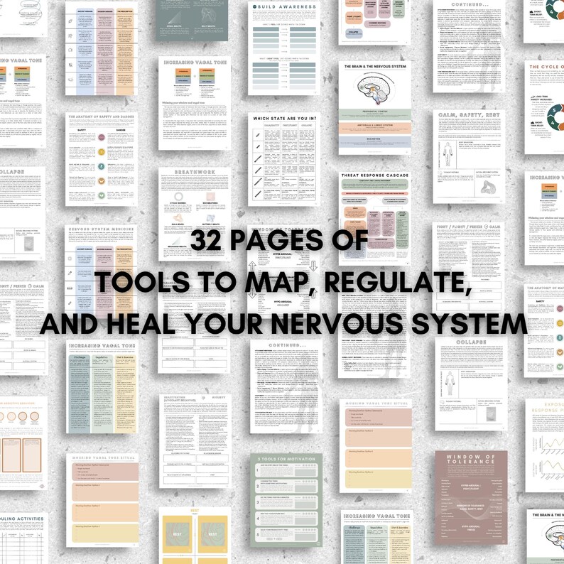 May include: A collage of 32 pages of tools to map, regulate, and heal your nervous system. The pages are filled with charts, diagrams, and text in a variety of colors.