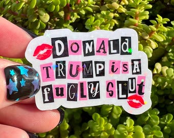 Anti-Trump Sticker Bundle | Political Protest Sticker Pack | 7 Surprise Stickers or Full 14 Piece Resistance Set