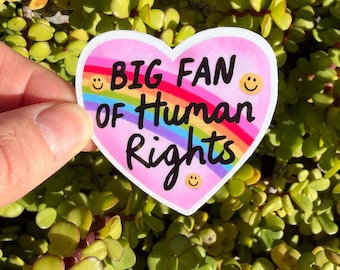 Big Fan of Human Rights Sticker | Rainbow Heart Vinyl Sticker | Pro Equality Pride Sticker 2" or 3"