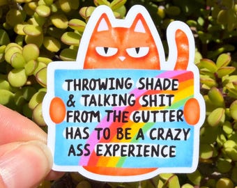 Funny Cat Sticker | Sarcastic Quote Sticker | Sassy Cat Meme Sticker | Snarky Humor Decal | 2" or 3" Clear or Holographic