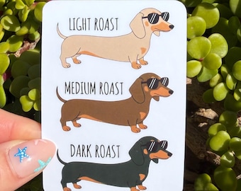 Funny Dachshund Coffee Roast Sticker, Wiener Dog Sticker, Doxie Mom Gift, Dog Lover Decal, Coffee Lover Laptop Water Bottle
