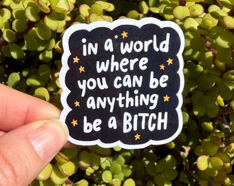 Be a Bitch Sticker Funny Sarcastic Quote Sticker | Feminist Snarky Humor Decal | Laptop Water Bottle Kindle Sticker