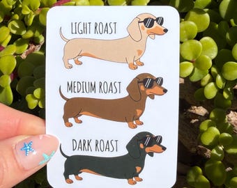 Funny Dachshund Coffee Roast Sticker, Wiener Dog Sticker, Doxie Mom Gift, Dog Lover Decal, Coffee Lover Laptop Water Bottle