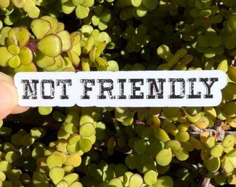 Not Friendly Sticker, Funny Introvert Decal, Anti Social Boundary Sticker, 2 or 3 Inch, Clear or Holographic Overlay