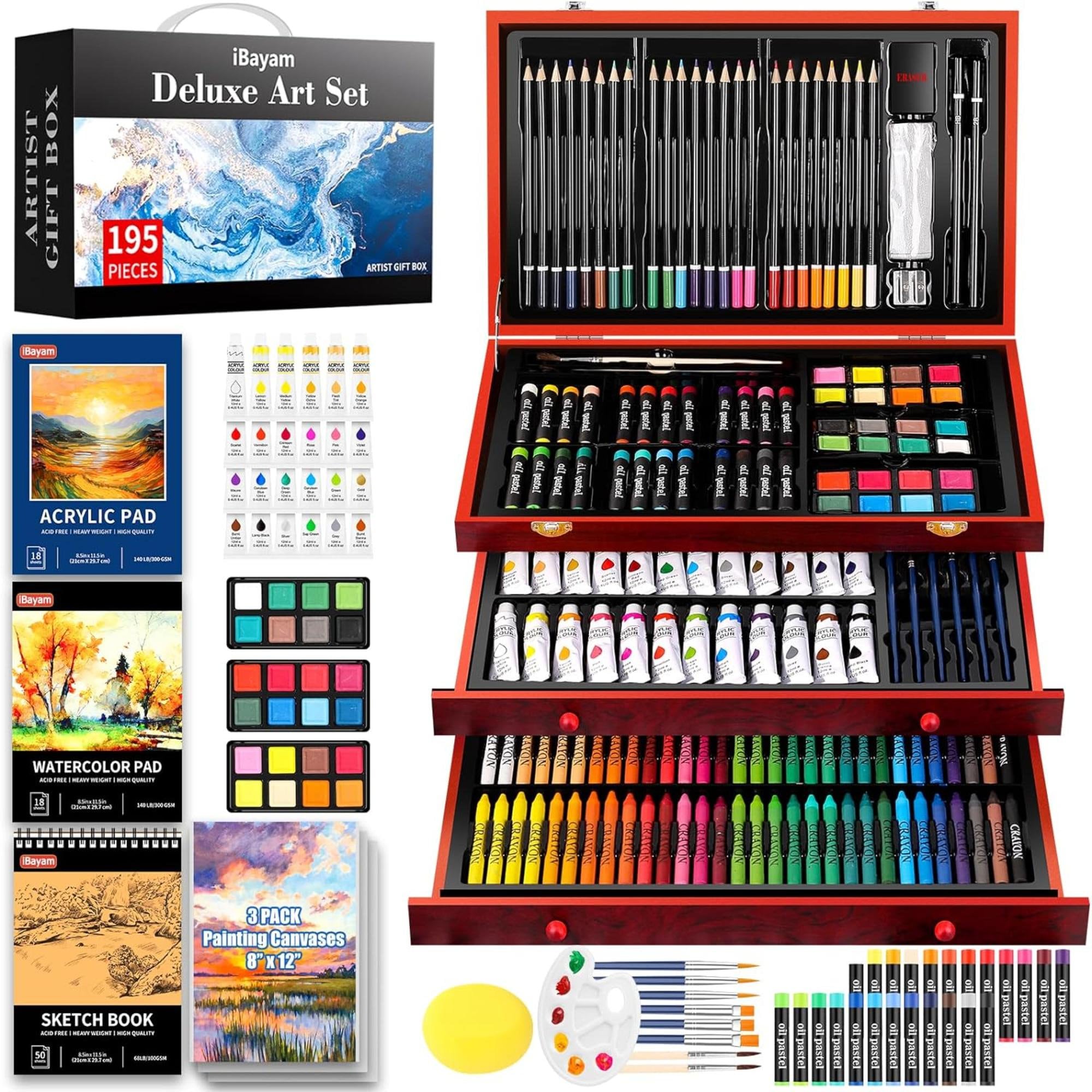 195 Piece Deluxe Art Set With Drawing Pads, Professional Art Kit