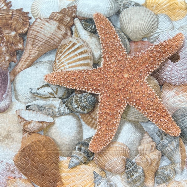 Napkins of Beach themes:  Starfish, Seashells, Shells and stones, Surfboards, VW Van and Bicycles