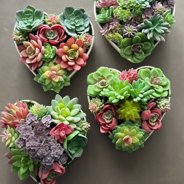 Faux Succulent Arrangement - Etsy