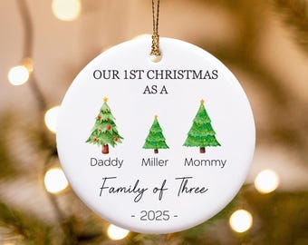 Family Of Three Christmas Ornament, Custom New Family Ornament, Baby's First Christmas Ornament, Personalized Family Ornament 2025
