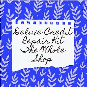 Deluxe Professional Debt Removal Kit Credit Repair Do it Yourself Kit Digital Download Microsoft Word Easily Editable The Whole Shop