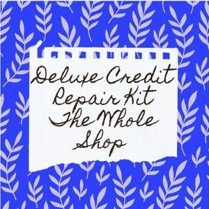 Credit Repair Deluxe Professional Debt Removal - Do it Yourself Kit - The Whole Shop