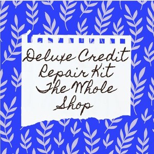 Credit Repair - Deluxe Professional Debt Removal - Do it Yourself Kit - The Whole Shop