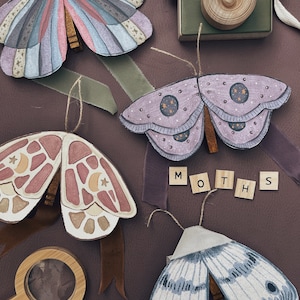 Mestiere di carta con falene Stardust / Studio sulla natura della falena stampabile / Stampe d'arte della falena / Arte della natura per bambini