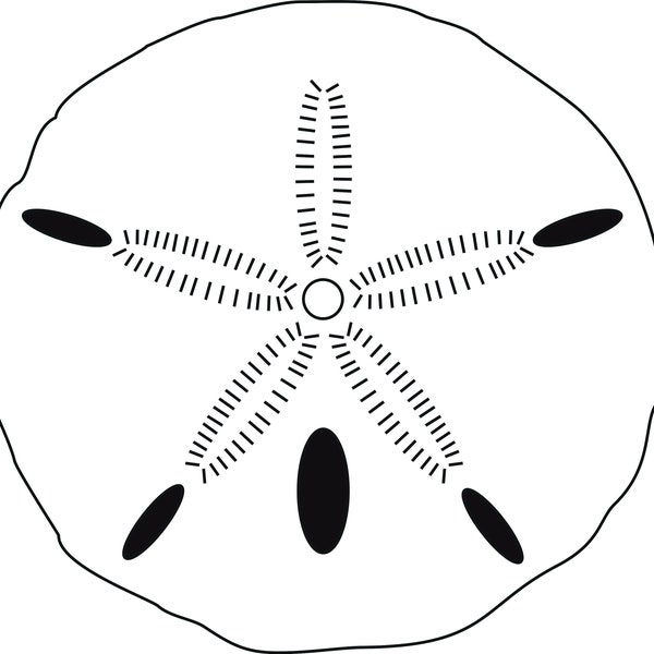 Sand dollar .dxf/.svg File