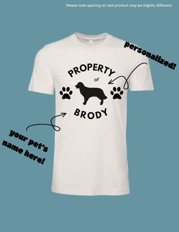 How to Introduce a New Dog to My Home: Expert Tips for Success