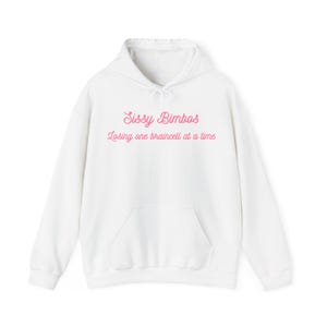 May include: White hooded sweatshirt with pink text that reads "Sissy Bimbos" and "Losing one braincell at a time."