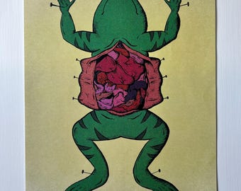 Dissected Frog Poster