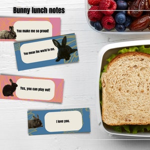 Bunny Lunchbox Notes, Kids Lunch Notes, Positive Affirmations For Kids, Printable Lunch Box Notes, Holiday Love Notes For Kids