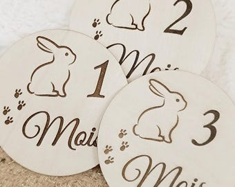 12 Babystapkaartjes met Konijn thema