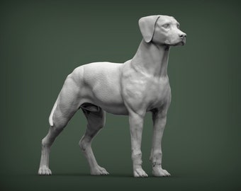 Dalmatian Figurine Dog, Minimalist Dog Statue, Unique Gift, Memorial Dog Sculpture, Ready to Painting, Home Decor, Cake Top