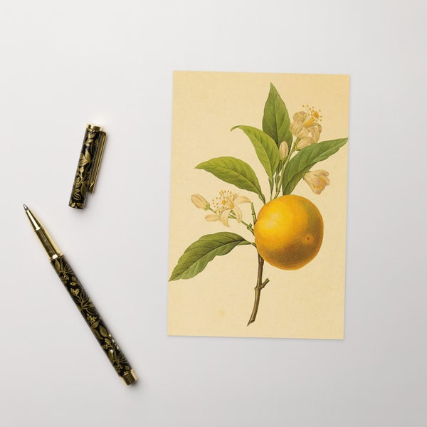 vintage Carte de Voeux Citron, Carte d'Anniversaire, Carte Postale