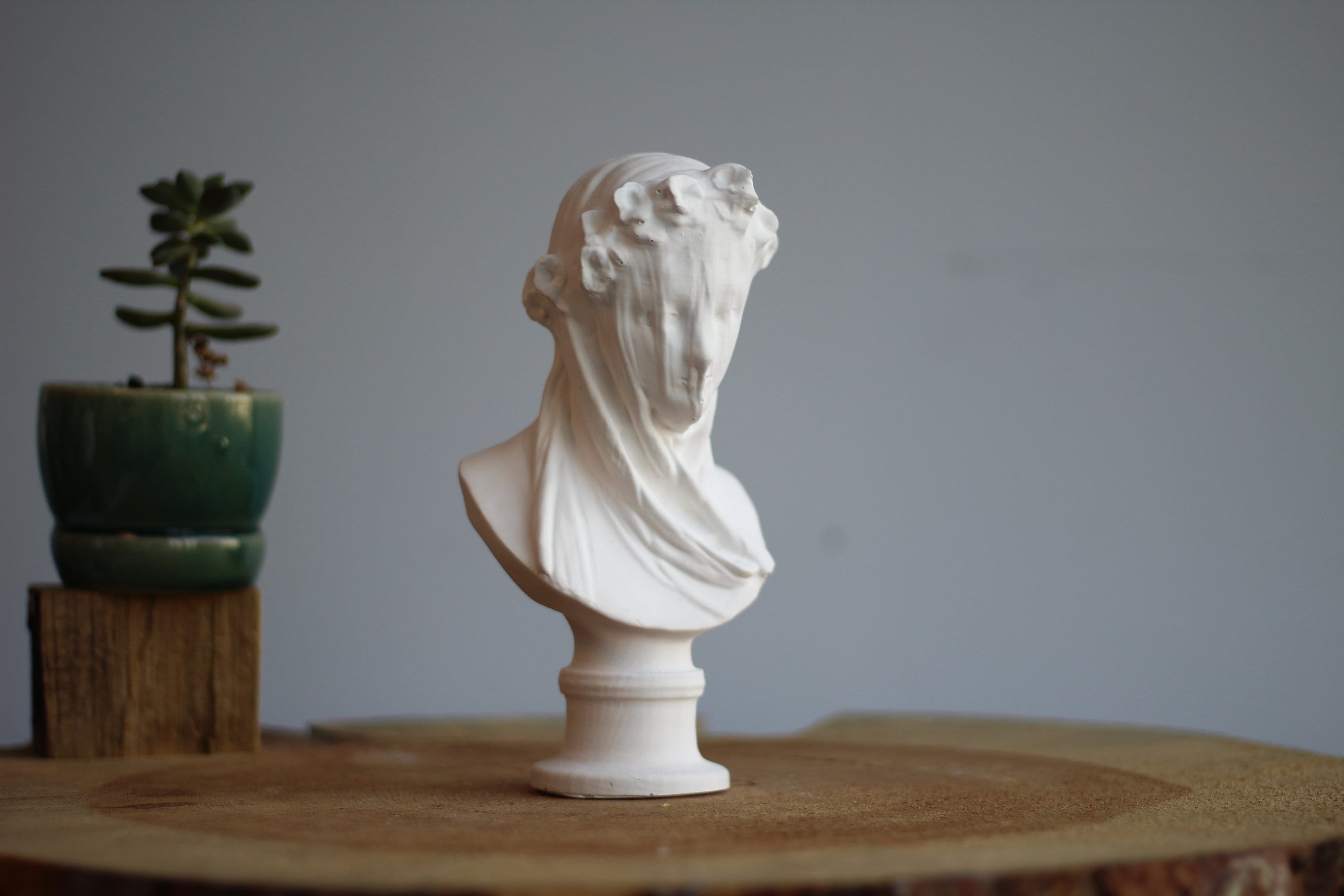 The Veiled Lady Statue the Veiled Virgin Mary Statue - Etsy