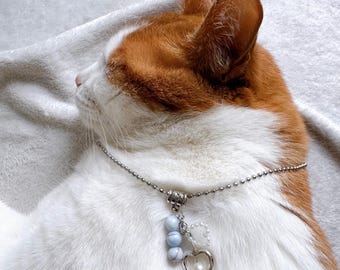 Accesorios para mascotas, pulseras con tus mascotas