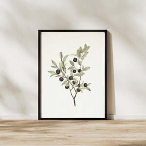 Vintage Botanical Print | Antique Berry Country Farmhouse Watercolor | Digital PRINTABLE