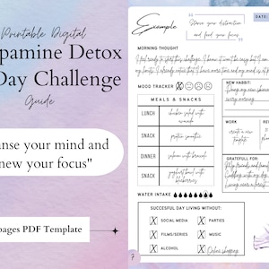 Digital Dopamine Detox Plan, Interactive Mental Detox Challenge, Dopamine Detox template, self care guide, Social Media Detox, phone detox