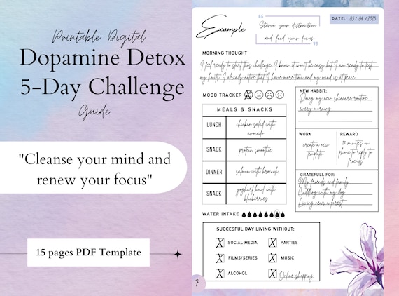Digital Dopamine Detox Plan, 5-Day Challenge (PDF)